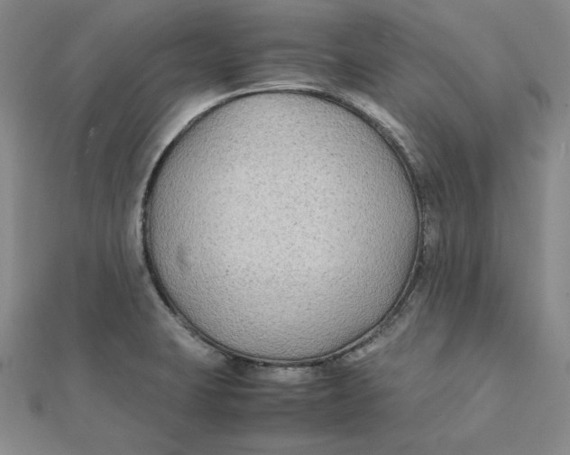 X0000112071423200908251033