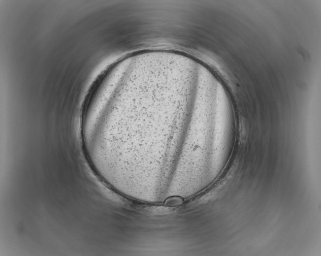 X0000112071424200908251033