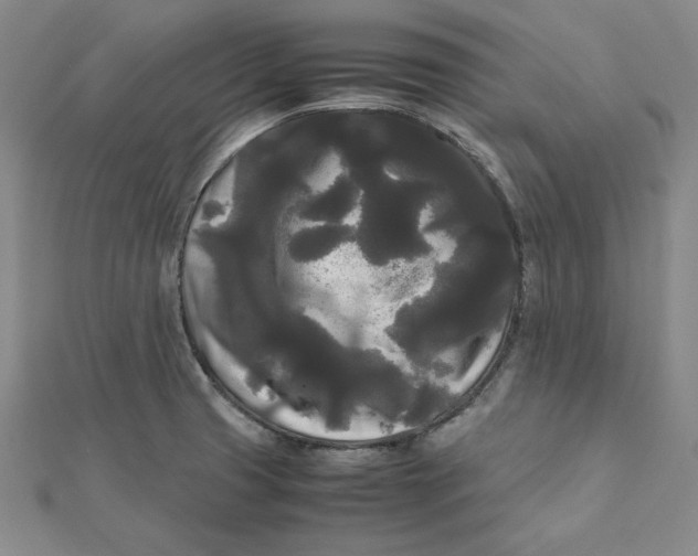 X0000112071425200908251033