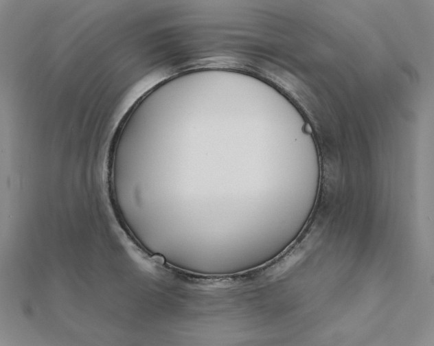 X0000112071426200908251033