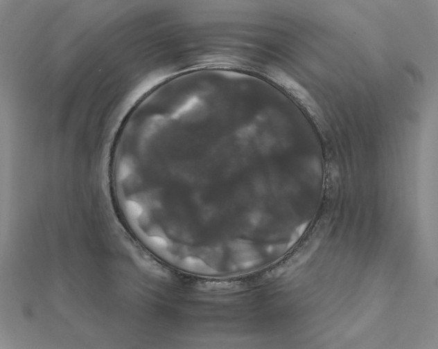X0000112071427200908251033