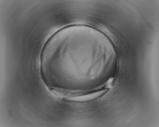 X0000112071428200908251033