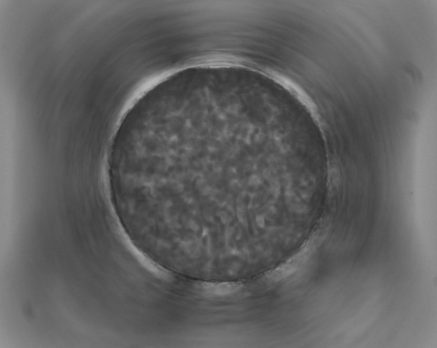 X0000112071429200908251033