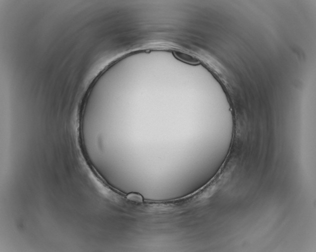 X0000112071430200908251033