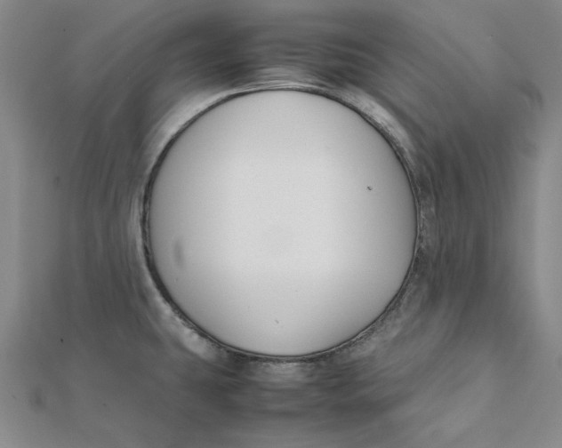 X0000112071431200908251033