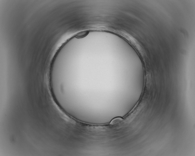 X0000112071432200908251033