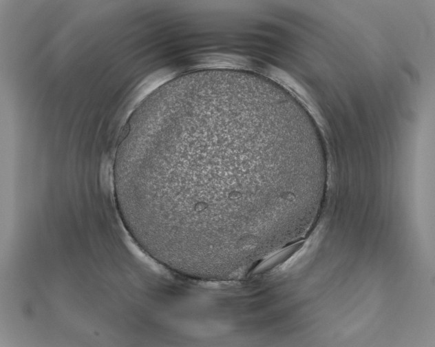 X0000112071433200908251033