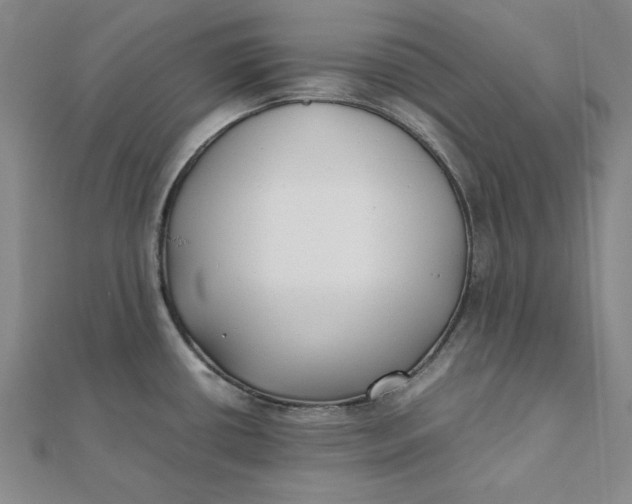 X0000112071434200908251033