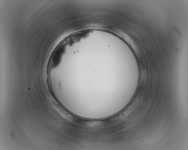 X0000112071435200908251033