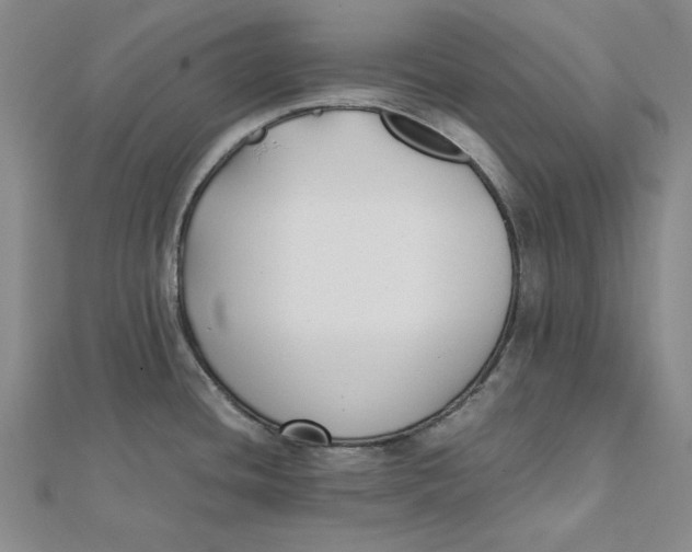 X0000112071436200908251033