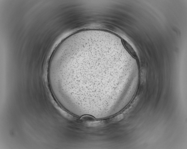X0000112071437200908251033
