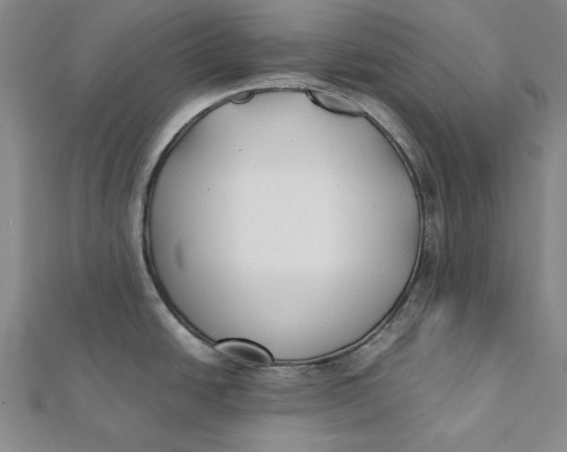 X0000112071438200908251033