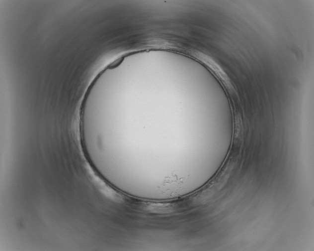 X0000112071439200908251033