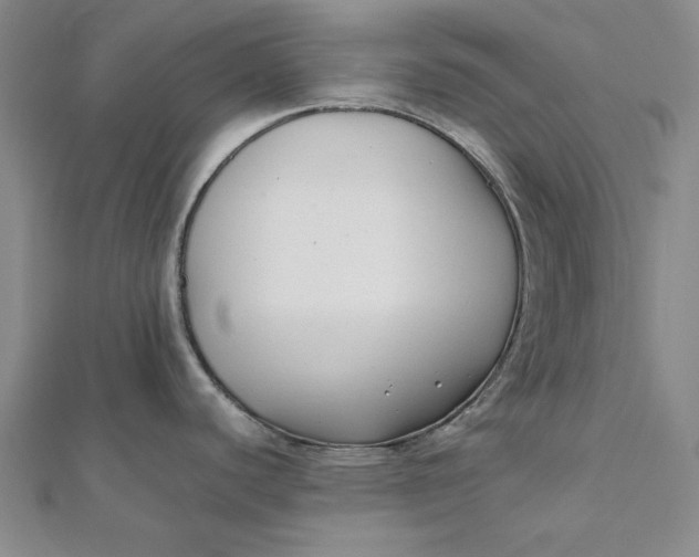 X0000112071440200908251033