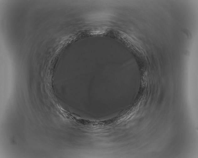 X0000112071441200908251032