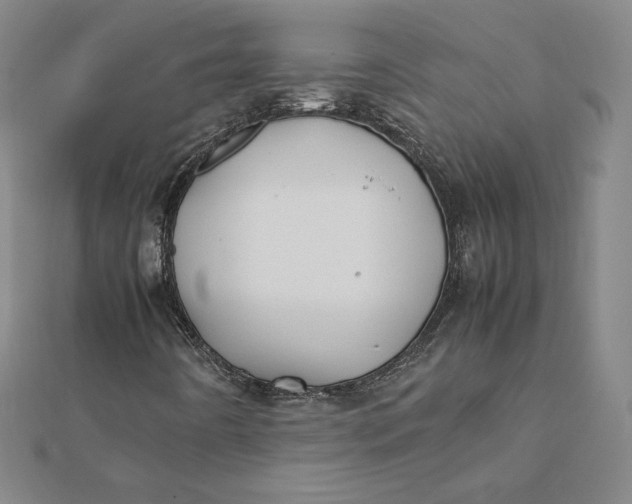X0000112071442200908251032
