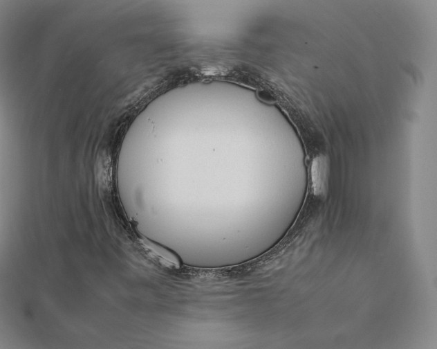 X0000112071443200908251032