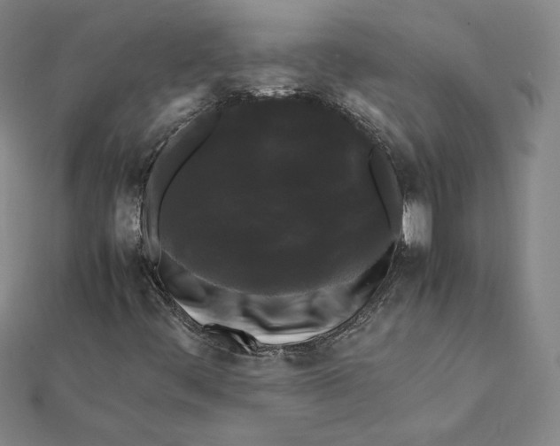 X0000112071444200908251032