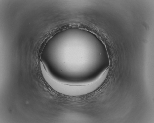 X0000112071445200908251032