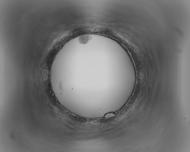 X0000112071447200908251032