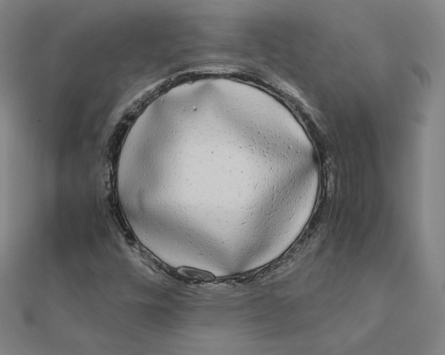 X0000112071448200908251032
