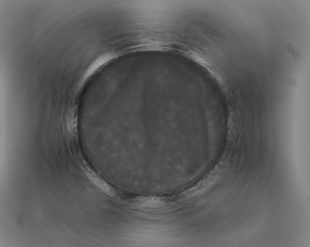 X0000112071450200908251032
