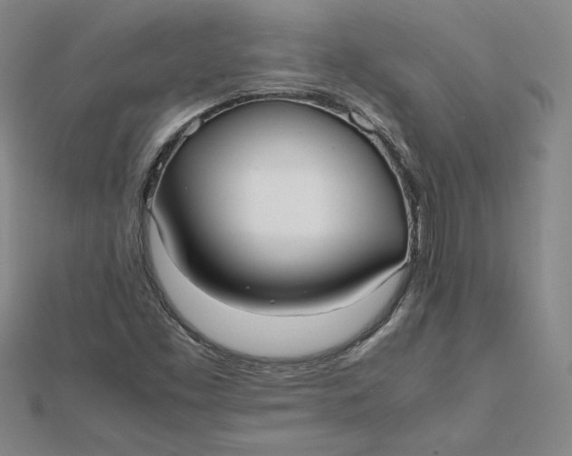 X0000112071453200908251032