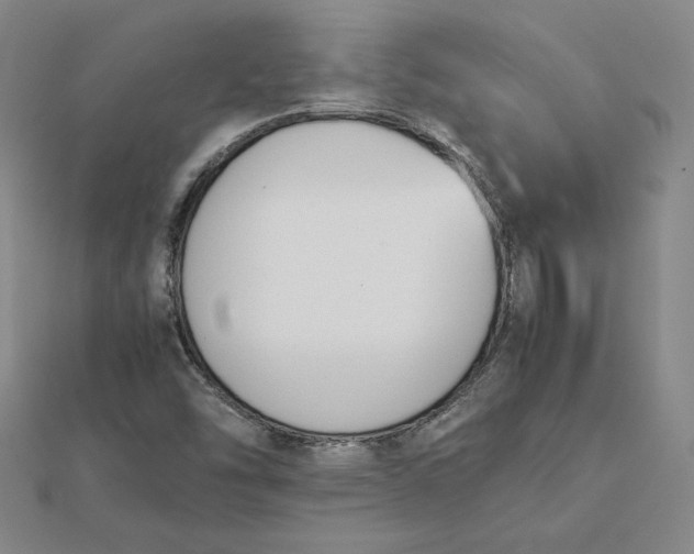 X0000112071454200908251032