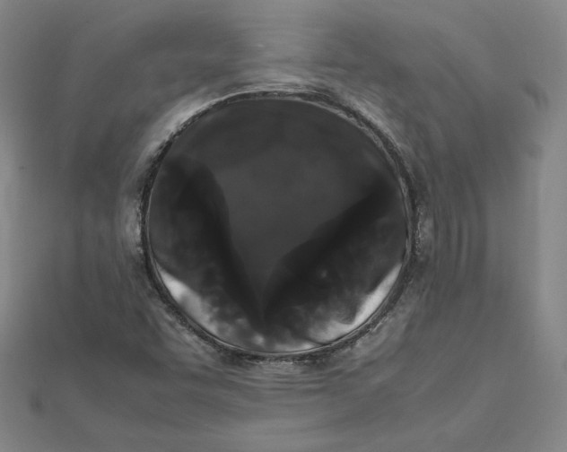 X0000112071455200908251032