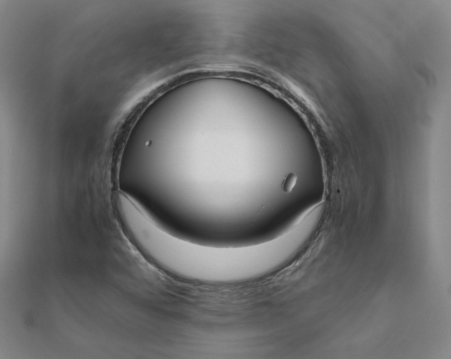 X0000112071456200908251032