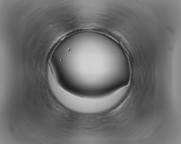 X0000112071457200908251032