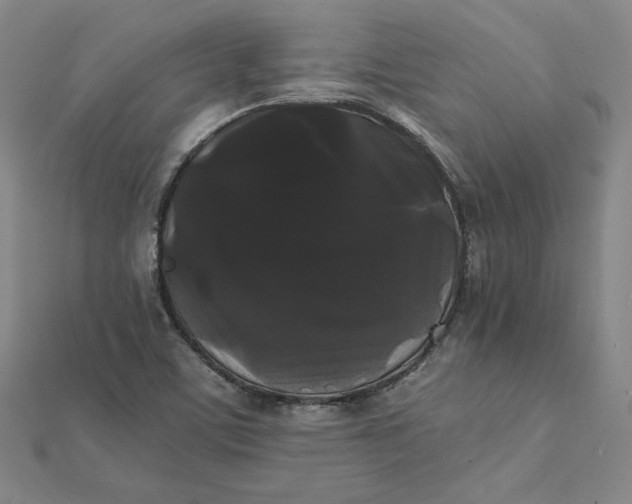 X0000112071459200908251032