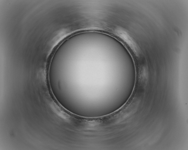 X0000112071460200908251032
