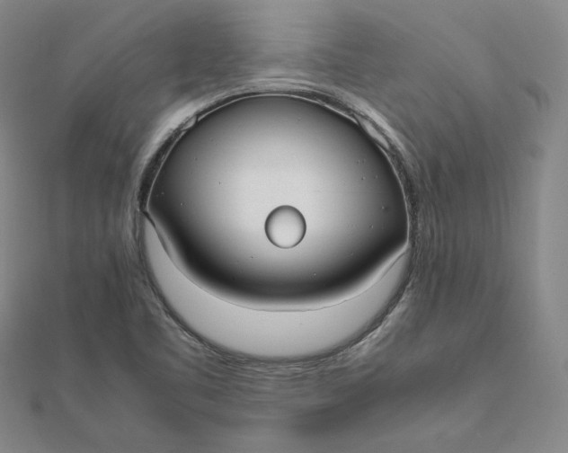 X0000112071461200908251032