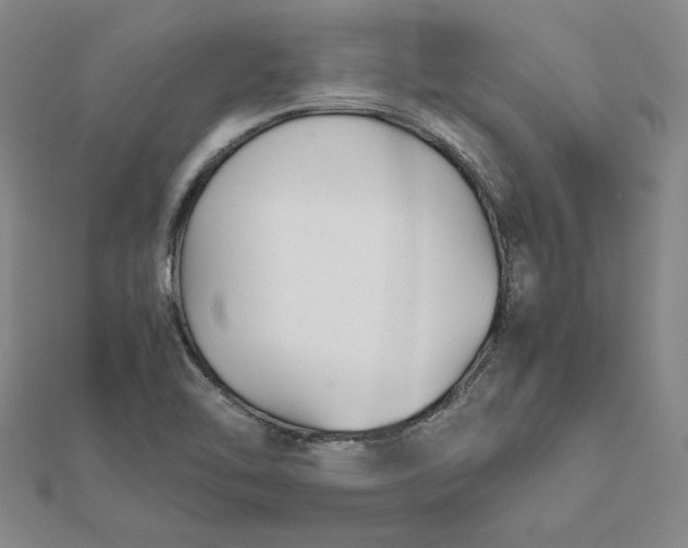 X0000112071462200908251032