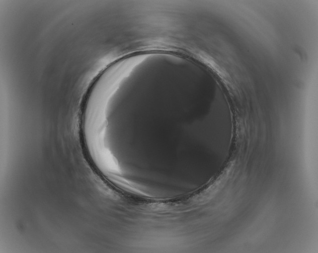 X0000112071463200908251032