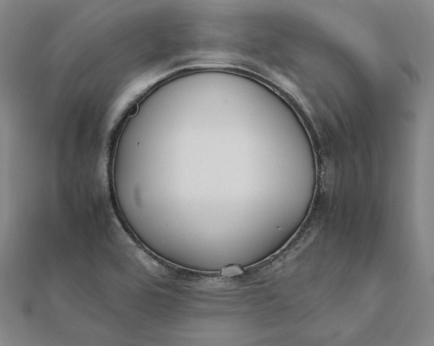 X0000112071464200908251032