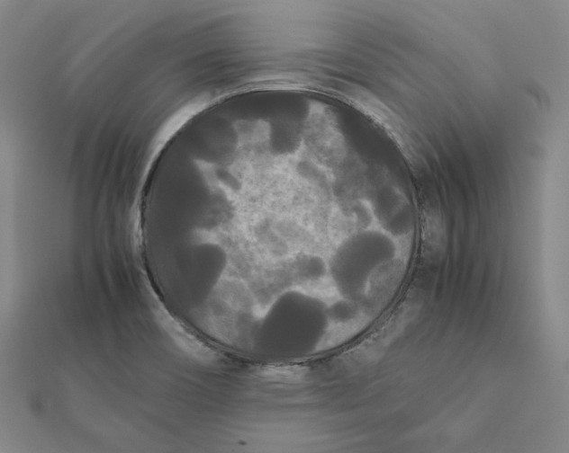 X0000112071466200908251032