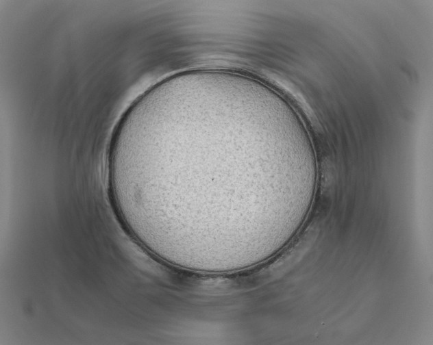 X0000112071467200908251032