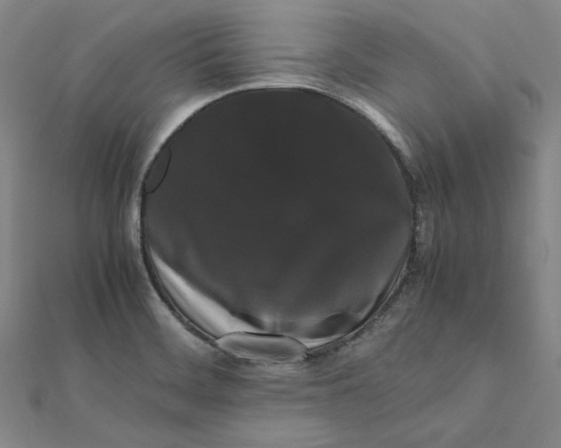 X0000112071468200908251032