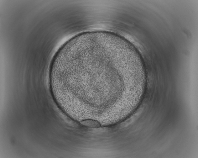X0000112071469200908251032