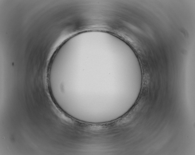 X0000112071470200908251032