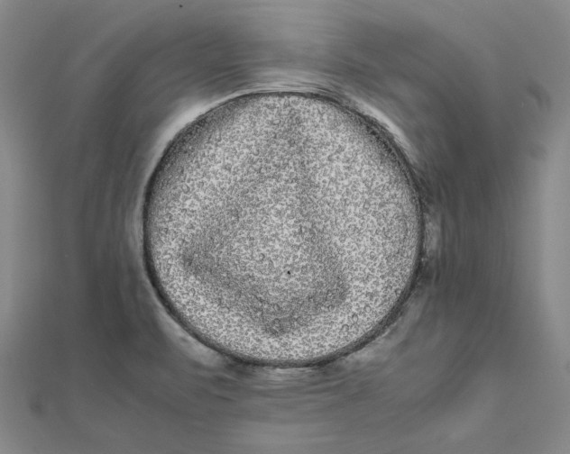 X0000112071471200908251032