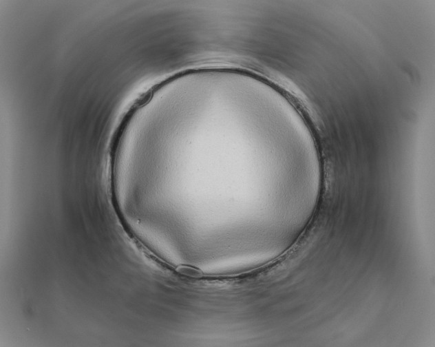 X0000112071472200908251032