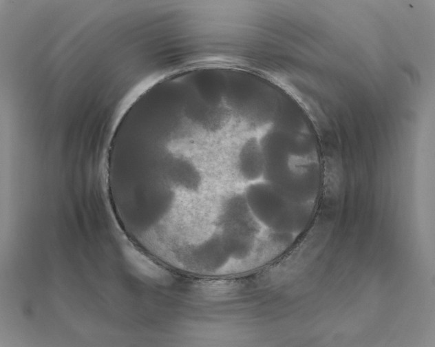 X0000112071474200908251032