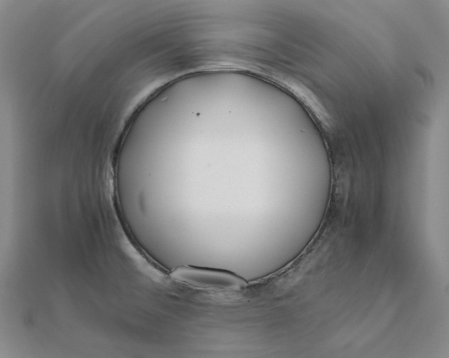 X0000112071476200908251032