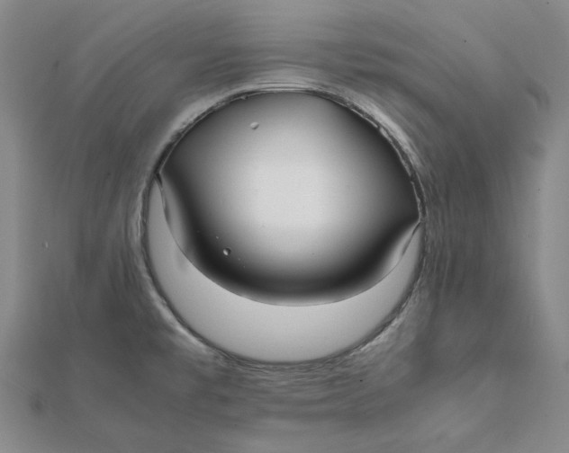 X0000112071477200908251032