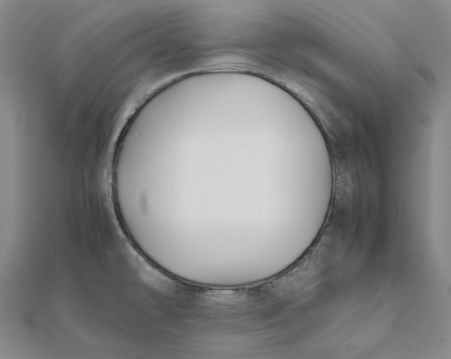 X0000112071478200908251032