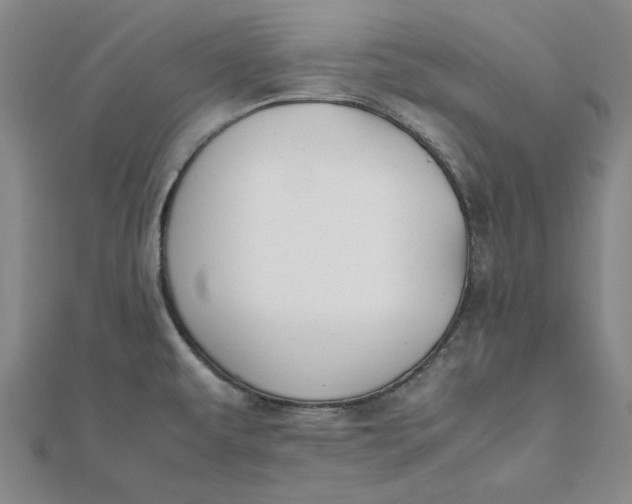 X0000112071479200908251032