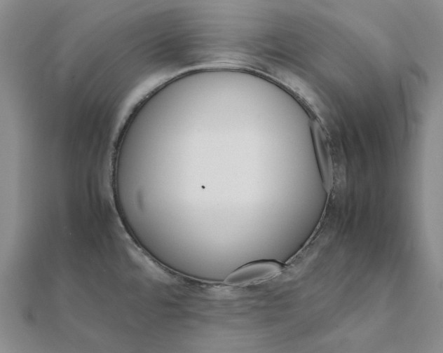 X0000112071480200908251032